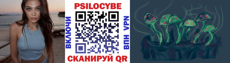Псилоцибиновые грибы Psilocybe  гидра онион  Прохладный 